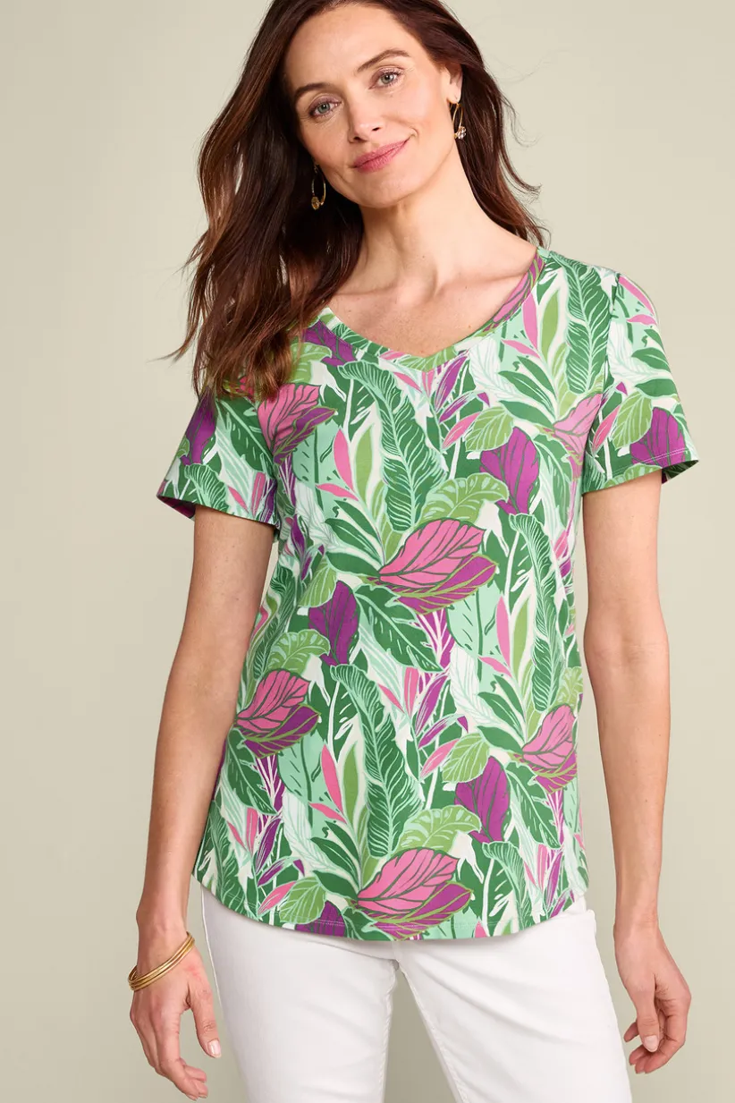 Soft Essential Supima Isabel Short Sleeve Tunic