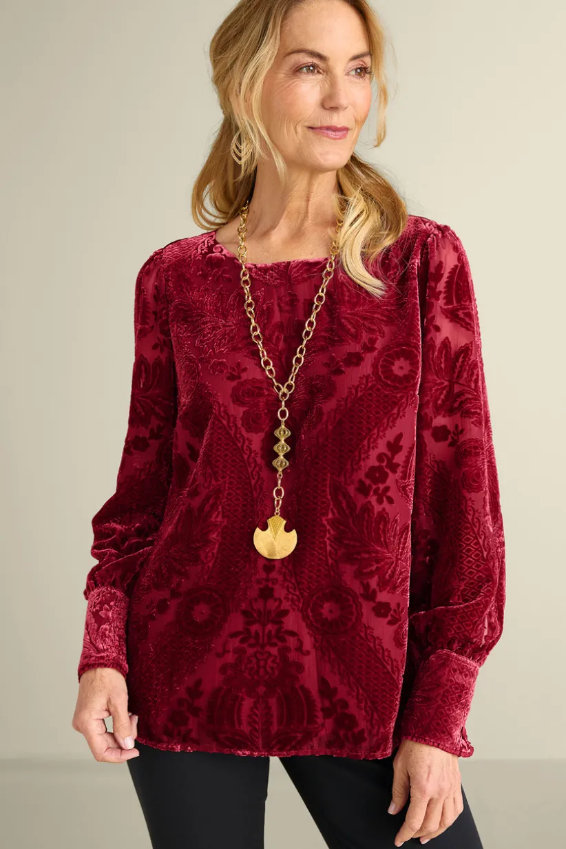 Vanetta Velvet Top
