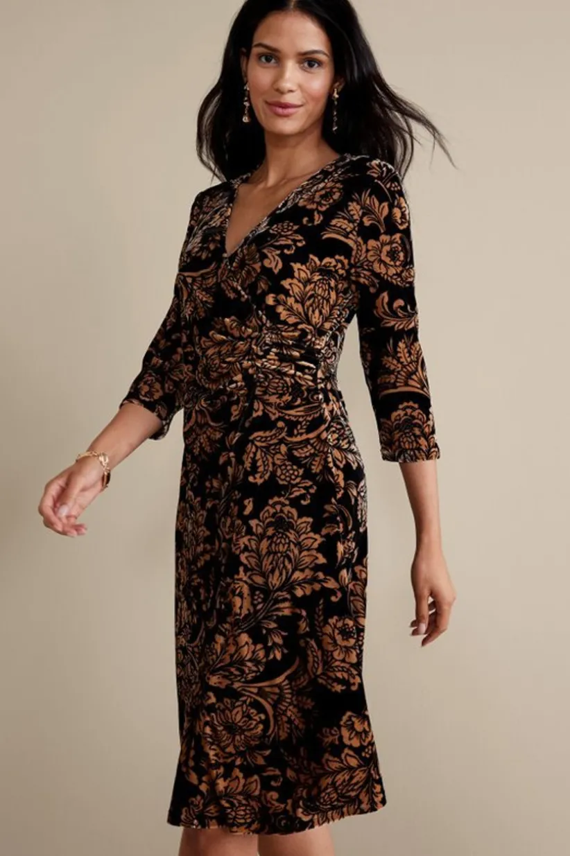 Velvet Hyannis Dress